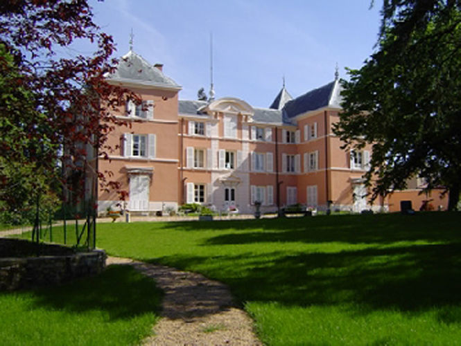 Mariage au Château de la Chapelle des Bois - animations mariage