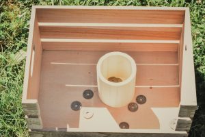 Animation Jeux en Bois - Magicien Lyon